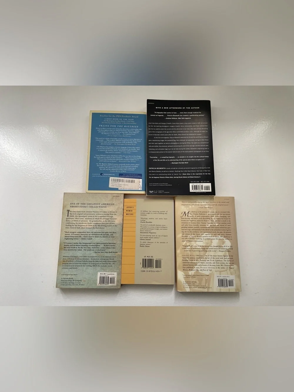 Flannery o’connor, virginia woolf and other classic book bundle